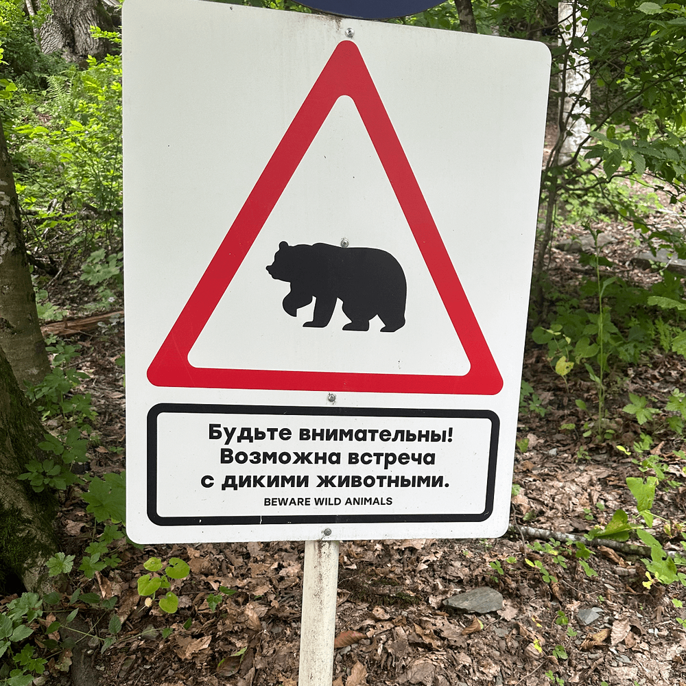 Страхование от клеща